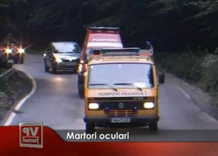1200-448x320 Martori oculari