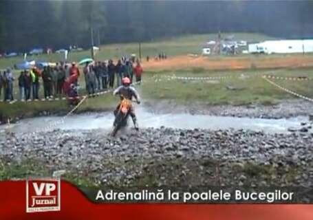 1466-455x320 Adrenalină la poalele Bucegilor