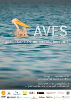 1x44-226x320 Expozitia de fotografie AVES, autori Dan Dinu si Cristian Goga