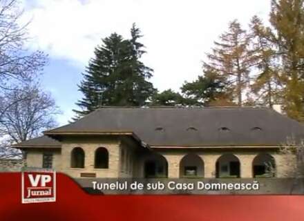 1x87-440x320 Tunelul de sub Casa Domnească