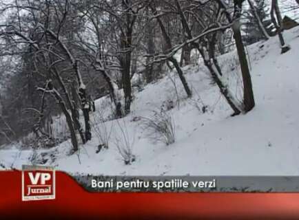 1361-434x320 Bani pentru spaţiile verzi