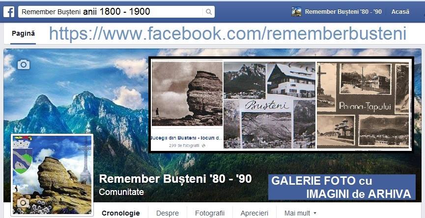 11043265_961762197169725_7045471587494524009_n Inceputul localitatii Busteni