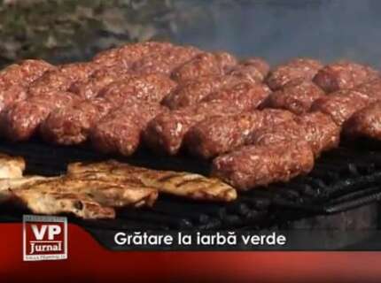 1306-430x320 Grătare la iarbă verde