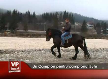 1466-439x320 Un Campion pentru campionul Bute