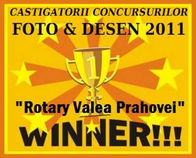 1593-396x320 PREMII concursuri DESEN si FOTOGRAFIE 2011