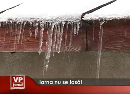 1193-443x320 Iarna nu se lasă