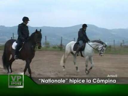217-429x320 “Naţionale” hipice la Câmpina