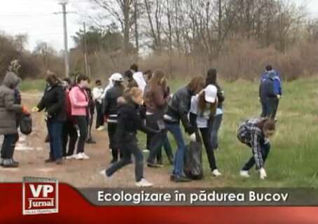 275-454x320 Ecologizare în pădurea Bucov