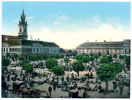 298-423x320 Doru SICOE - Oradea lui Iosif Vulcan