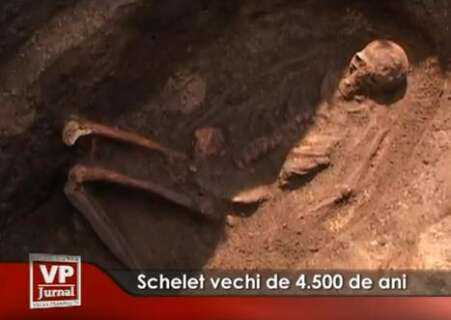 1269-451x320 Schelet vechi de 4.500 de ani