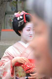 1342-213x320 Japonia, ţara contrastelor şi a progresului
