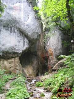 1355-240x320 Atractii si obiective turistice din Brasov