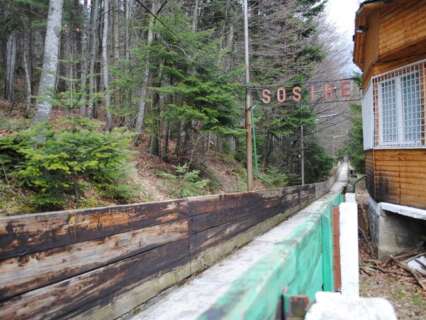 137-426x320 CSO Sinaia, sinonimul performantei