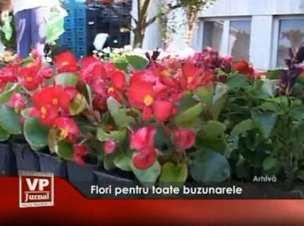 147-430x320 Flori pentru toate buzunarele