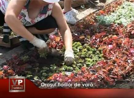 2126-436x320 Oraşul florilor de vară