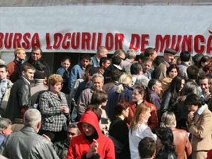 463-427x320 Bursa locurilor de muncă dedicată absolvenţilor