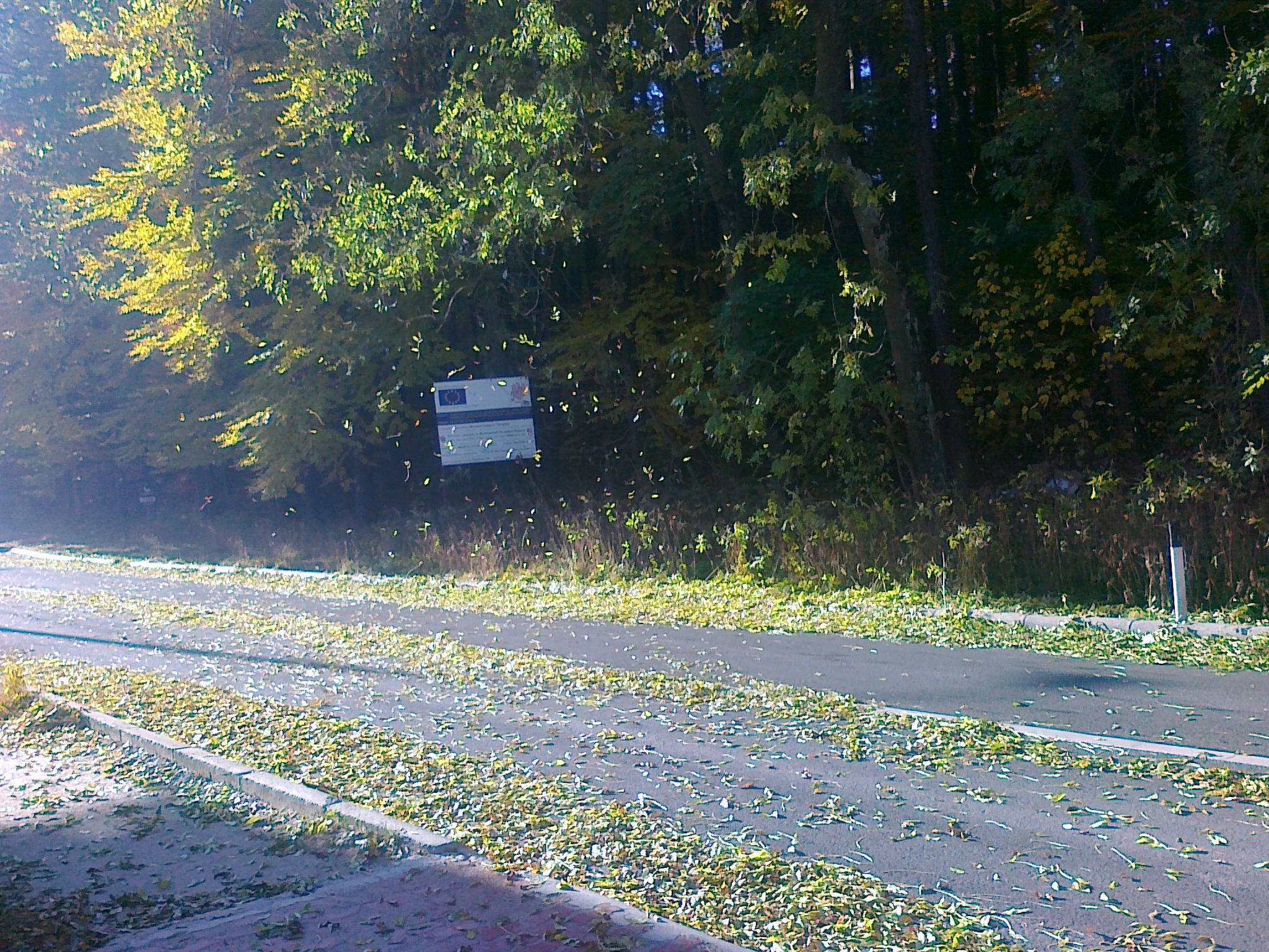 281020114195 EXCLUSIV!!! Ploaie de frunze la Sinaia (VIDEO)