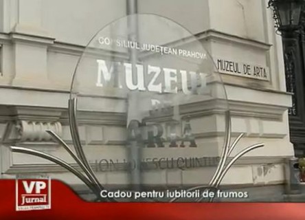 3103-444x320 Cadou pentru iubitorii de frumos la Ploiesti