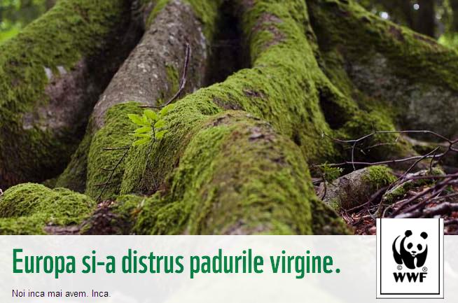 397 SEMNEAZA "Petitia pentru salvarea padurilor virgine" !!!