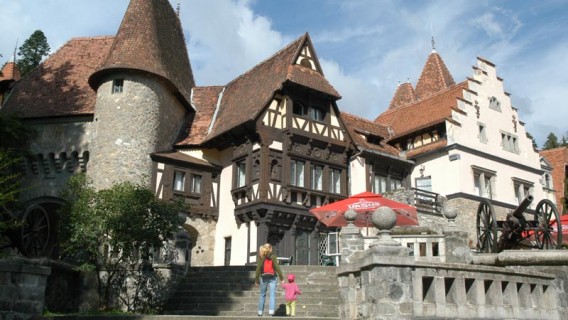 1249-568x320 Vanzarea imobilelor care fac parte din proprietatea RA-APPS din Sinaia (vezi lista)