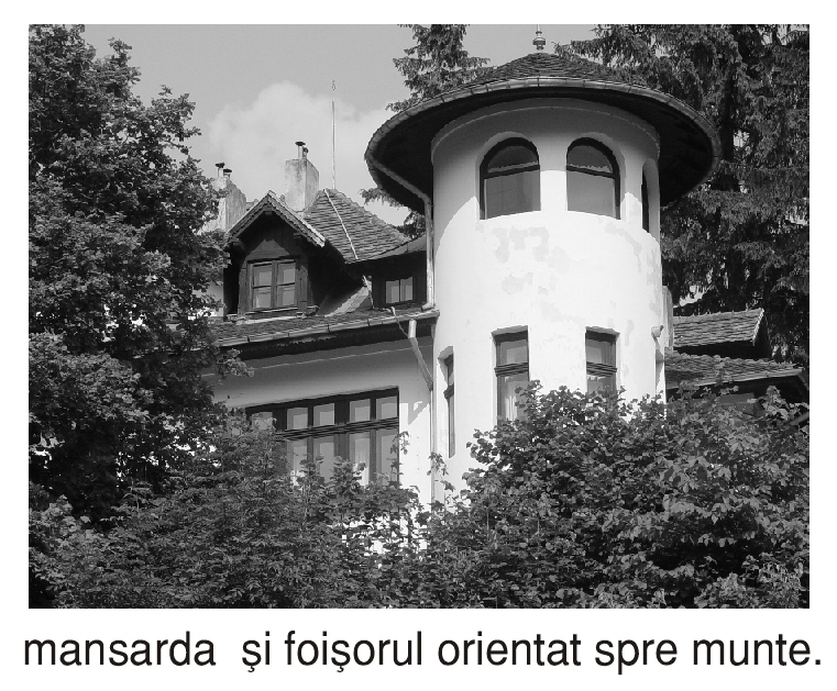 193 La plimbare prin oras: "CASA ENESCU" Sinaia