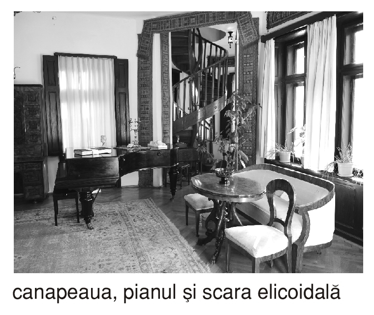 194 La plimbare prin oras: "CASA ENESCU" Sinaia