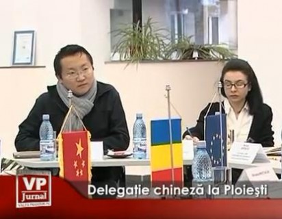 211-412x320 Delegaţie din oraşul Ningbo din Republica Chineză la Ploiesti