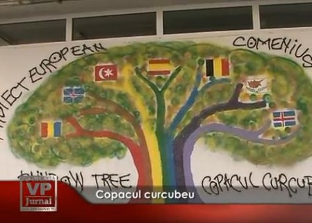 224-449x320 "Copacul curcubeu" la Şcoala Generală ”Grigore Moisil” din Ploieşti