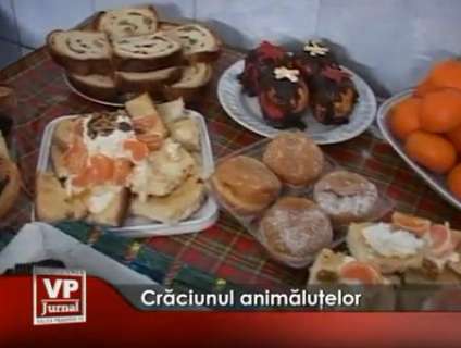 1167-424x320 Crăciunul animăluţelor cu prâjituri, seminţe şi fructe la Zoo Bucov