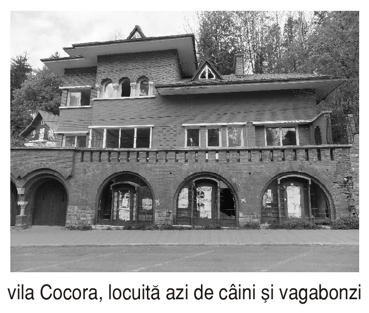 Totpals-Daily-News16 MANEA Nicolae Dan: "Imaginea orasului"
