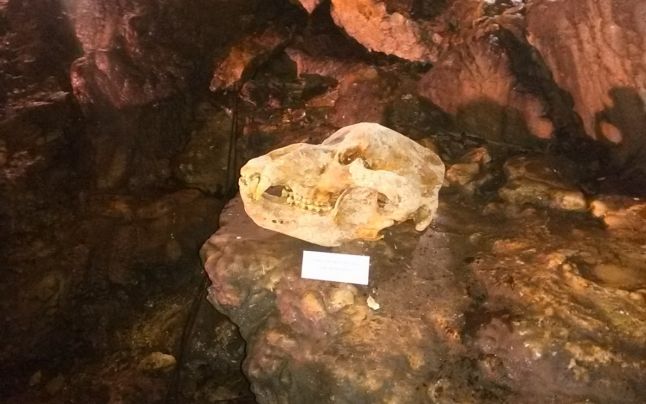 646x4048 Cum arată Peştera Ialomiţei, recent reabilitată, cea mai vizitată din Munţii Bucegi (Foto & Video)