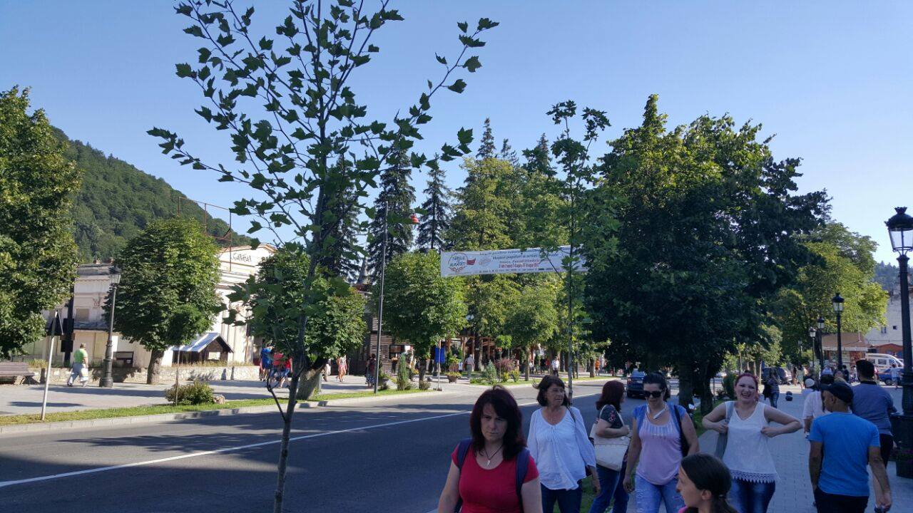 2 Asa, DA! Prahova se mandreste cu un oras de nota 10. Vezi aici care ...