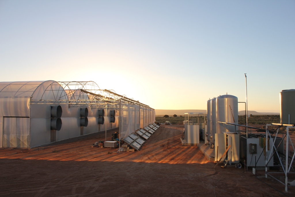 ATT6 "Sundrop Farms: Growing food in the desert" - Cea mai importantă invenţie a secolului al XXI-lea?