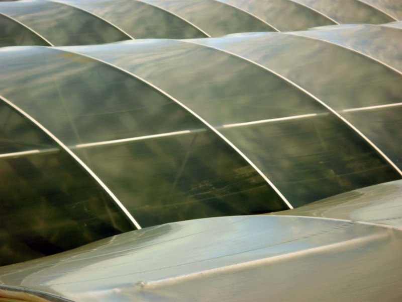 ATT7 "Sundrop Farms: Growing food in the desert" - Cea mai importantă invenţie a secolului al XXI-lea?