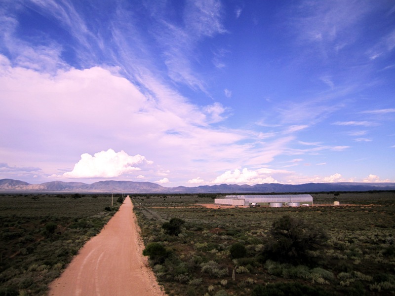 ATTA "Sundrop Farms: Growing food in the desert" - Cea mai importantă invenţie a secolului al XXI-lea?