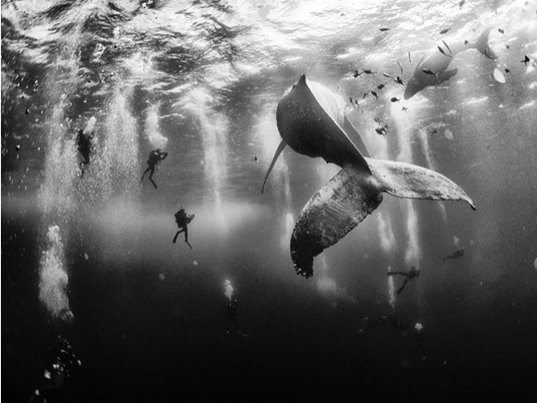Untitled1 Un peisaj de basm din Brasov, între câştigătorii National Geographic Traveler Photo Contest 2015